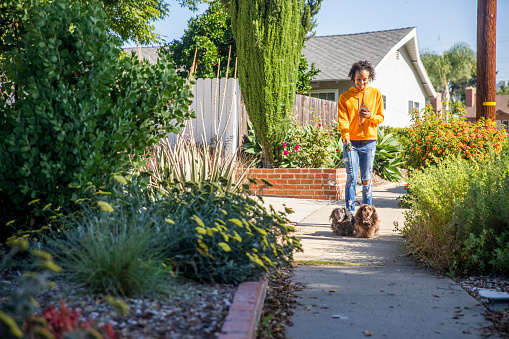 Young Black Woman Walking Dogs with Smartphone