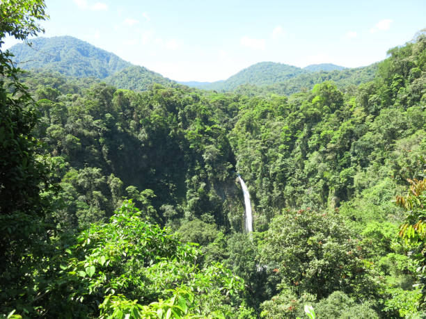 istock Vacationing in Costa Rica 1160229982