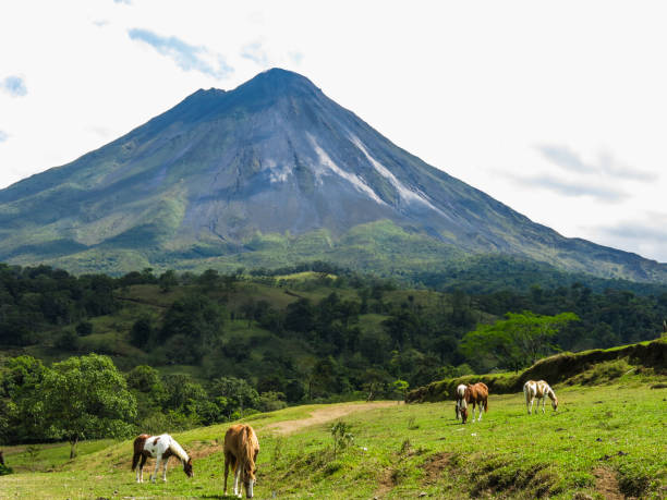 istock Vacationing in Costa Rica 1160231029
