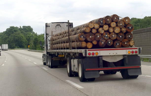 istock Cargo of Telephone Poles 1160231083