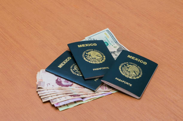 Three Mexican passports stacked. A package of five-hundred Mexican peso stakes arranged like a fan. Five hundred and two hundred banknotes on wooden bottom. Mexican cash pesos. View from above Three Mexican passports stacked. A package of five hundred Mexican pesos bills arranged like a fan. Five hundred and two hundred bills on a wooden background. Mexican pesos in cash. View from above. dollar bill eagle stock pictures, royalty-free photos & images