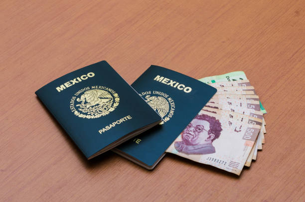Two Mexican passports stacked. A package of five hundred Mexican pesos bills arranged like a fan on a wooden table. Mexican cash pesos. Concept of travel and tourism. Two Mexican passports stacked. A package of five hundred Mexican pesos bills arranged like a fan on a wooden table. Mexican pesos in cash. Concept of travel and tourism. dollar bill eagle stock pictures, royalty-free photos & images