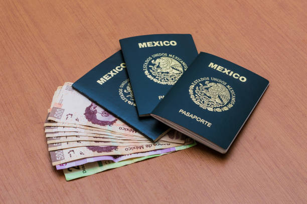 Three Mexican passports stacked. A package of five-hundred Mexican peso stakes arranged like a fan. Five hundred and two hundred banknotes on wooden bottom. Mexican cash pesos. View from above Three Mexican passports stacked. A package of five hundred Mexican pesos bills arranged like a fan. Five hundred and two hundred bills on a wooden background. Mexican pesos in cash. View from above. dollar bill eagle stock pictures, royalty-free photos & images