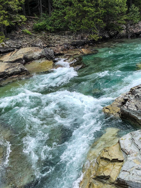 agua de color aqua corriendo por el río - montana water landscape nature fotografías e imágenes de stock