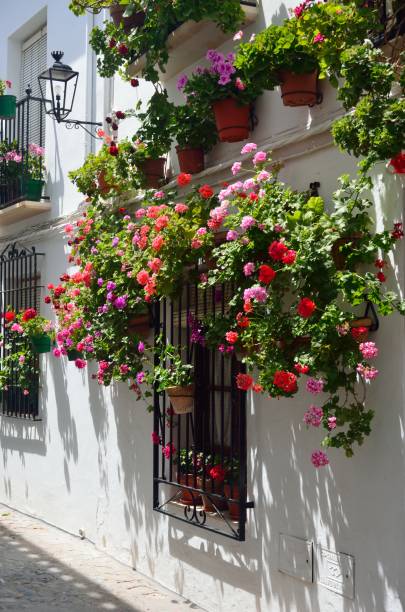 istock Barrio de la Villa, Priego de Cordoba 1160241210