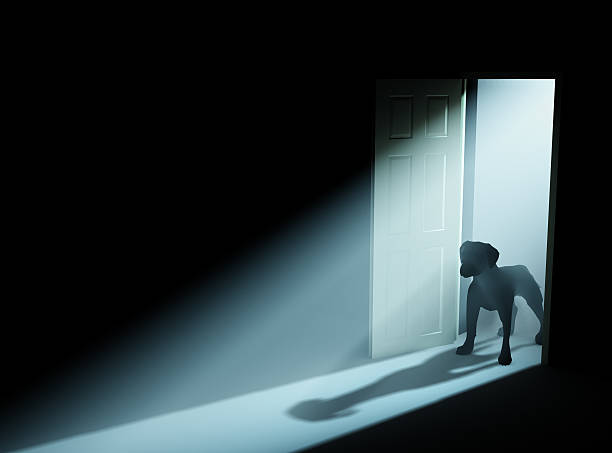 istock Beware of the dog 116024226
