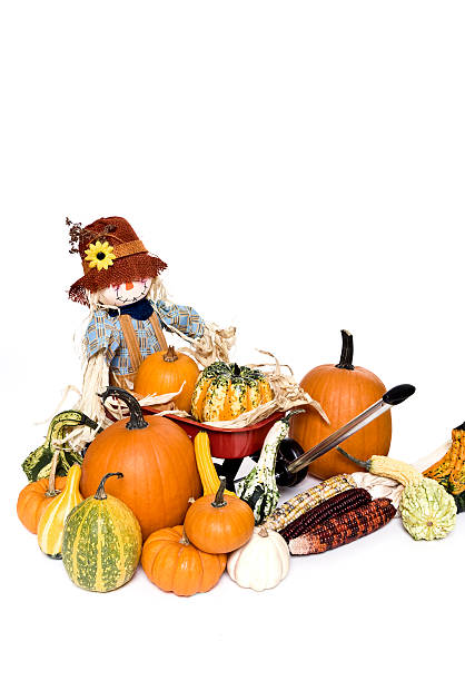 vagão com um espantalho e gourds - indian corn toy wagon pumpkin holiday imagens e fotografias de stock