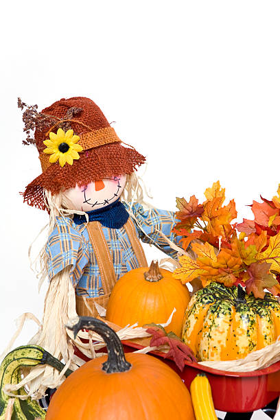 istock Scarecrow with the Harvest 116024714
