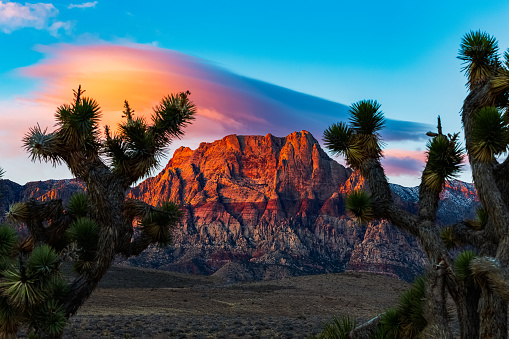 Red Rock Canyon sunrise with lenticular cloud.