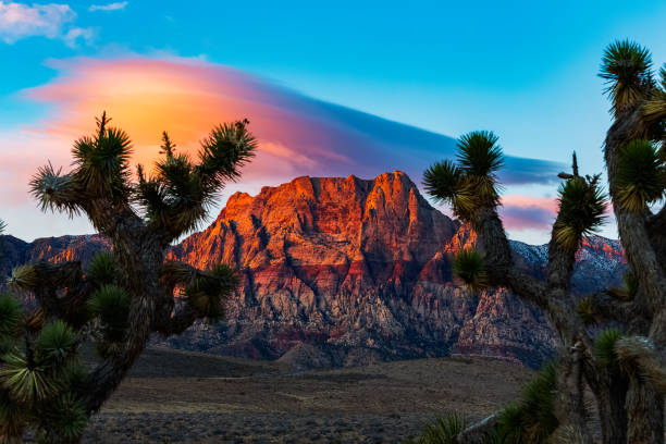 Red Rock Sunrise Red Rock Canyon sunrise with lenticular cloud. las vegas stock pictures, royalty-free photos & images