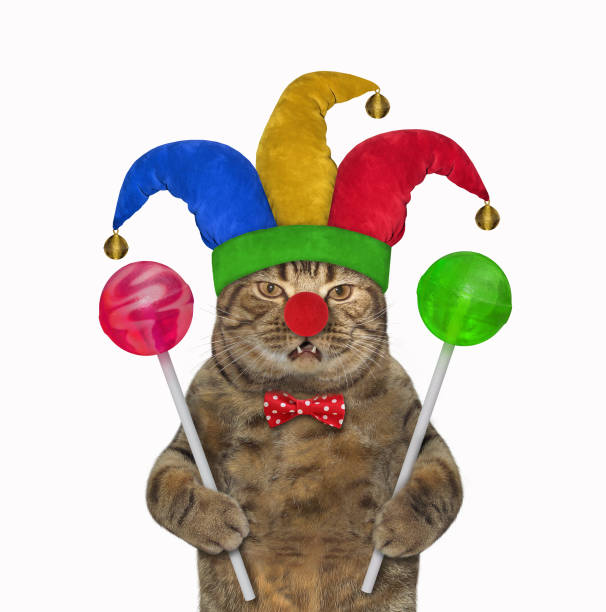 The cat clown in a red bow tie and a jester hat is holding two big colored lollipops. White background. Isolated.