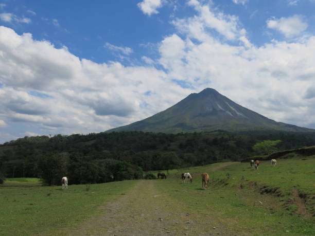 istock Vacationing in Costa Rica 1160251636