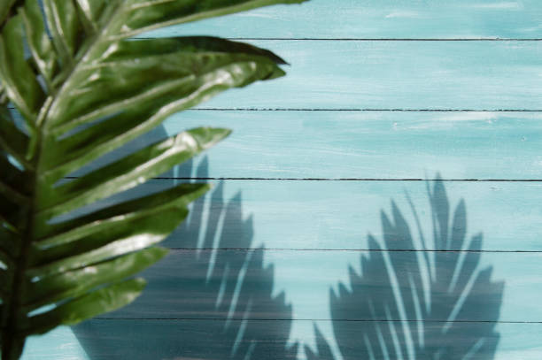 istock Palm leaves shadow and wood plank wall texture background 1160252550