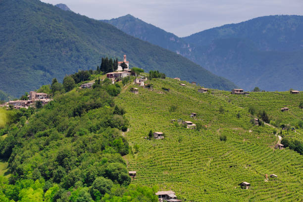 istock Combai village on a hill among vineyards 1160253923
