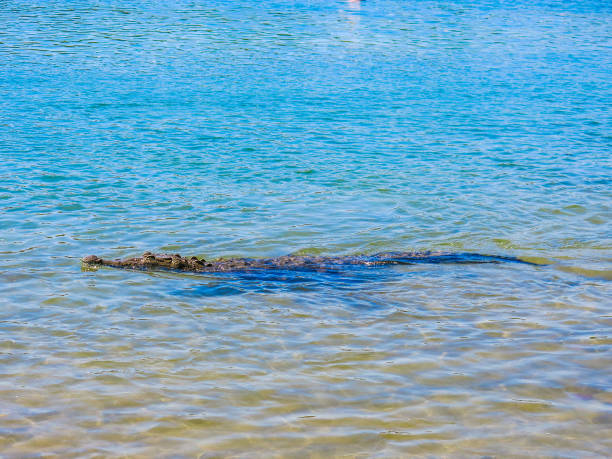 istock Vacationing in Costa Rica 1160255386