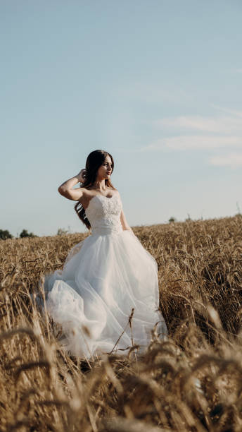 istock Beautiful bride in wheat field on sunset 1160255409