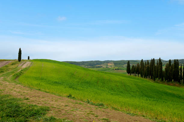 istock Beautiful spring minimalistic landscape with green hills in Tuscany 1160256448