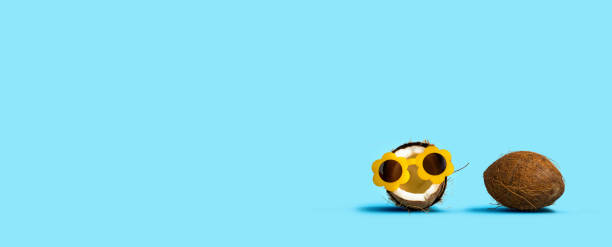istock Coconut wearing sunglasses and coconut shell 1160259571