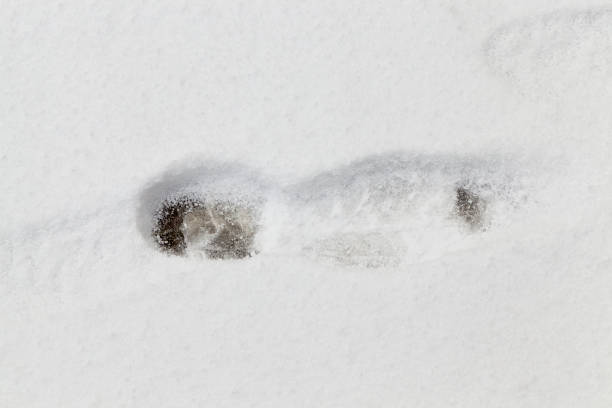 istock Winter season. Photo 1160260714