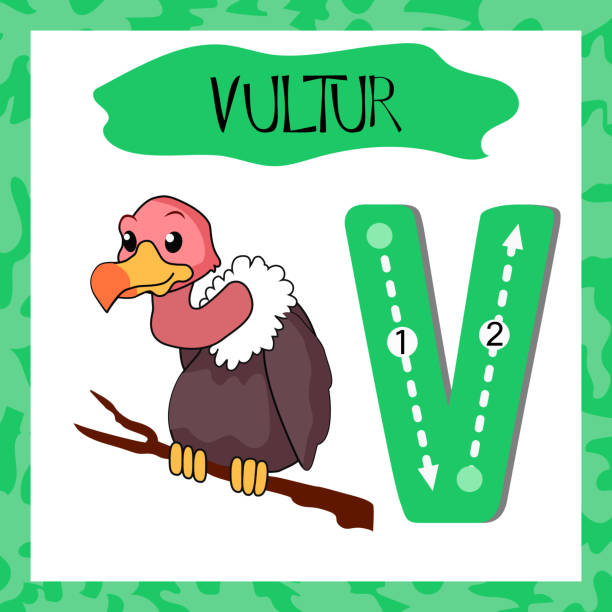 Letter V Uppercase Cute Children Colorful Zoo And Animals Stock  Illustration - Download Image Now - iStock