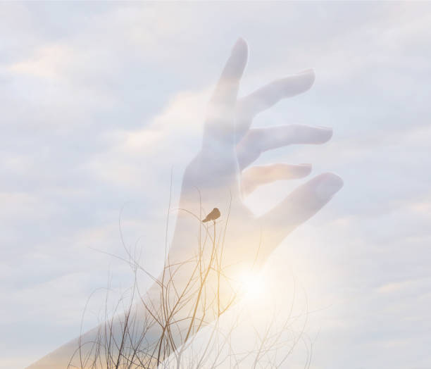 Multiple exposure of human hand, bird and cloudscape