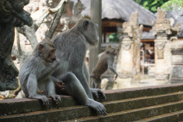 Mother and child eating
