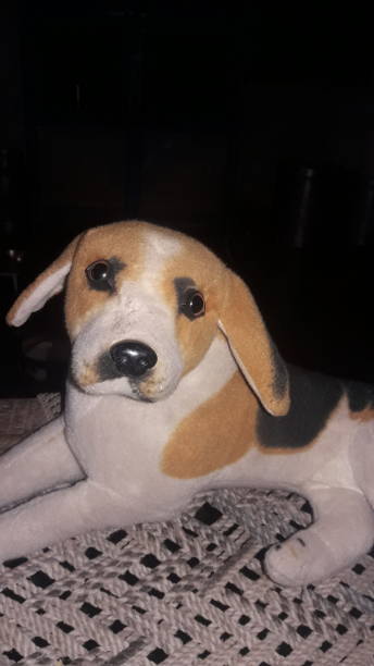 istock Indian toy doggy 1160268474