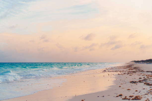 istock Amazing beautiful sunset on an exotic caribbean seashore 1160277413