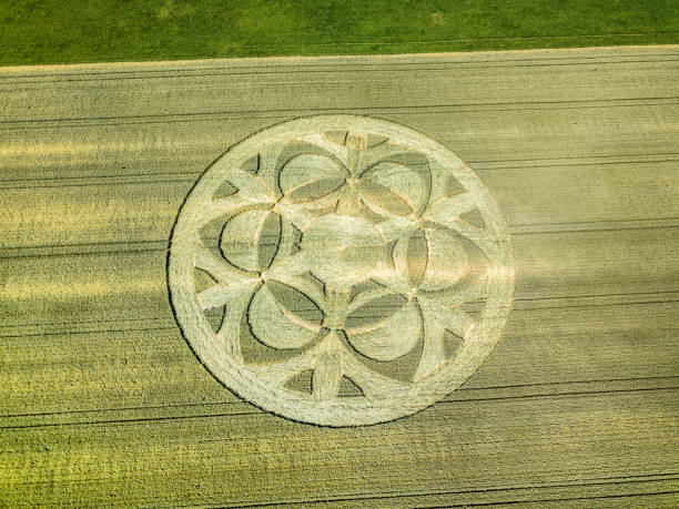 Crop circle in wheat field in Canton Bern, Switzerland Crop circle in wheat field in Canton Bern, Switzerland crop circle stock pictures, royalty-free photos & images