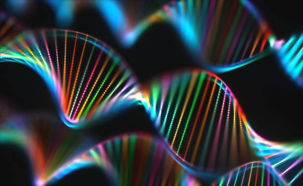 DNA Genetic Code Colorful Genome Image of genetic codes DNA. Concept image for use as background. Colored 3D illustration. chromosome photos stock pictures, royalty-free photos & images