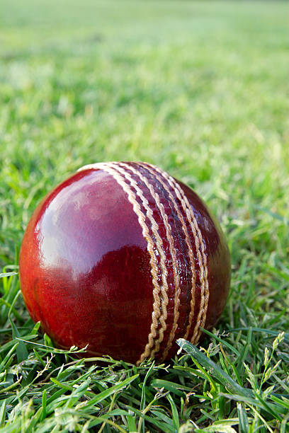 istock Cricket ball on green grass. 116028462