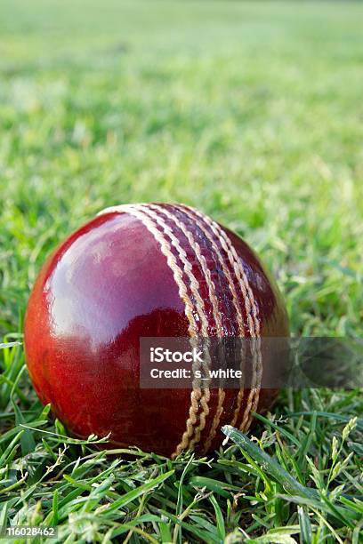 Cricket Ball On Green Grass Stock Photo - Download Image Now - Cricket Ball, Agricultural Field, Australia