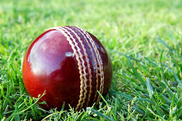 Pallina da Cricket in erba. - foto stock