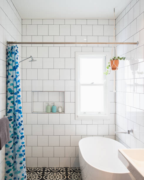 Small Bathroom With Plant & Timber Window