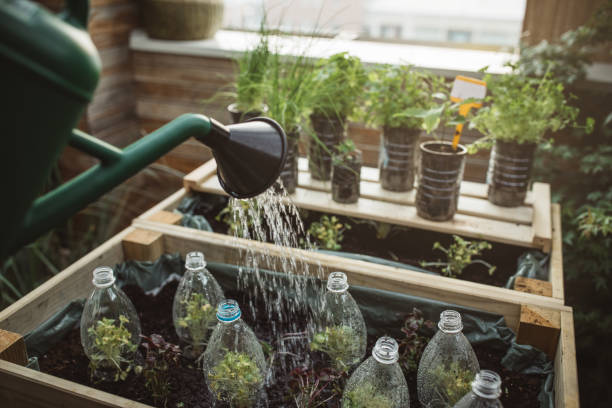 istock Recycled plastic bottles used in home garden 1160290696