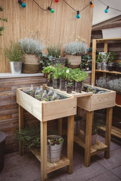 istock Recycled plastic bottles used in home garden 1160290726