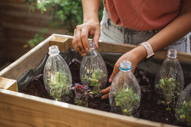 Use old plastic bottles in garden Gardening crafts made with recycled plastic bottles, environmental awareness is important to save our planet social responsibility photos stock pictures, royalty-free photos & images
