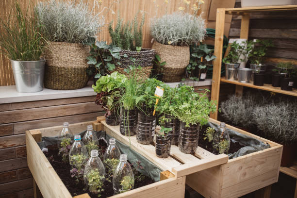 istock Recycled plastic bottles used in home garden 1160291372