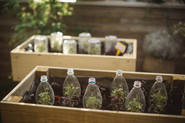 istock Recycled plastic bottles used in home garden 1160291375