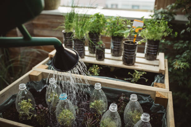 Recycled plastic bottles used in home garden