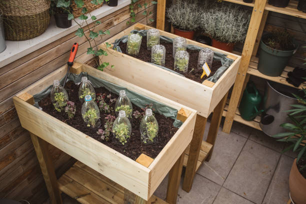istock Recycled plastic bottles used in home garden 1160291906