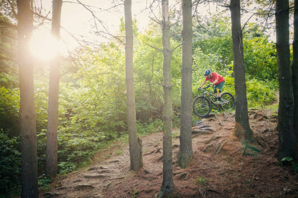 istock Mountain biker climbing in the woods 1160297099