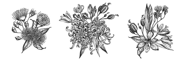 Flower bouquet of black and white japanese chrysanthemum, blackberry lily, eucalyptus flower stock illustration