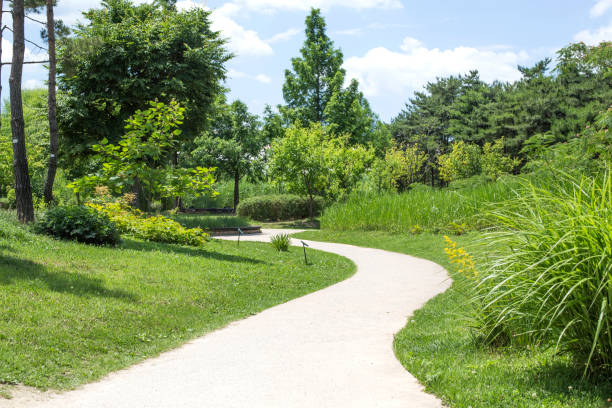 istock Trees and walkway in the park. 1160305786