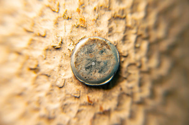 Slate nail head. Abstraction. Macro photo. Background.