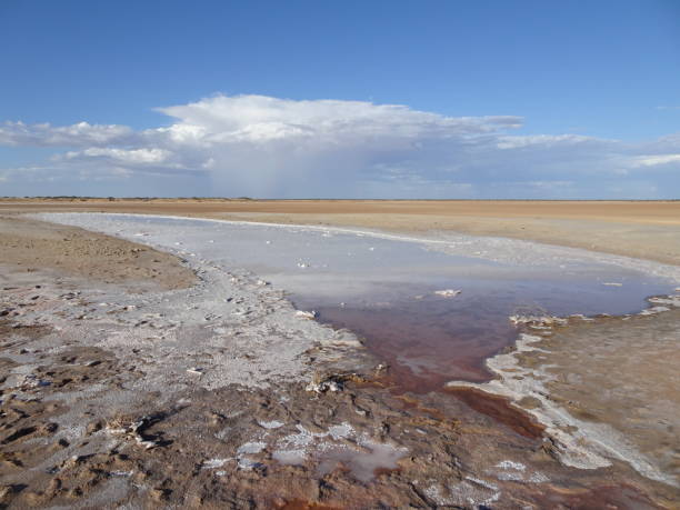 istock North of Hamelin Pool, WA. 1160307959