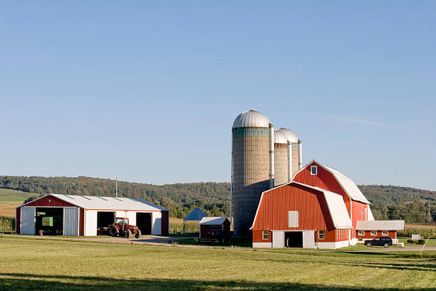 istock Red Barn - Evening in Late Summer 116030942