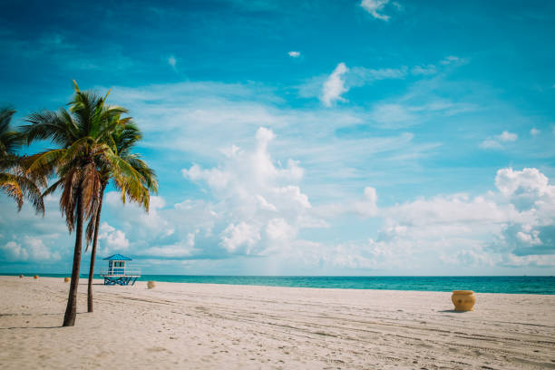 tropical beach with lifeguard cabin, Florida, USA stock photo