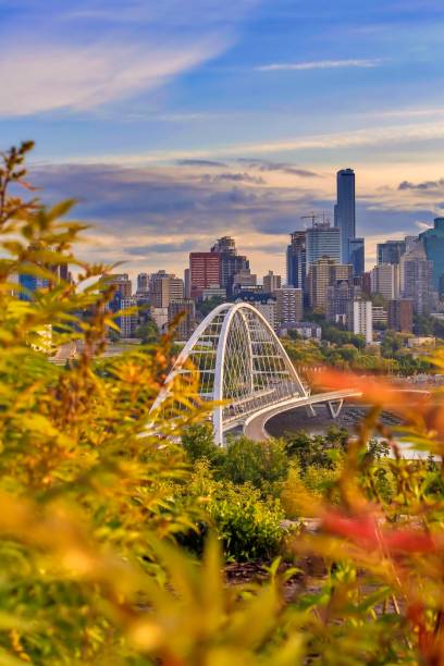 istock Vibrant Edmonton Summer Skyline 1160317031