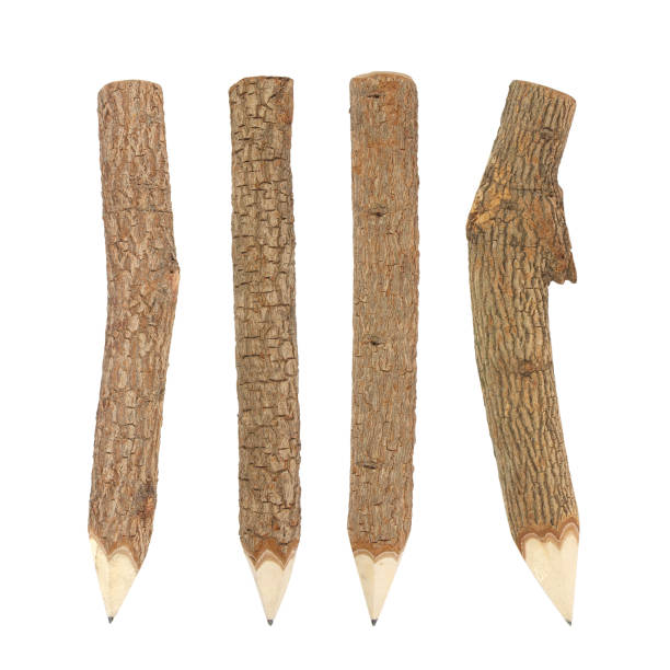 istock set of Branch pencils on a white background 1160317585